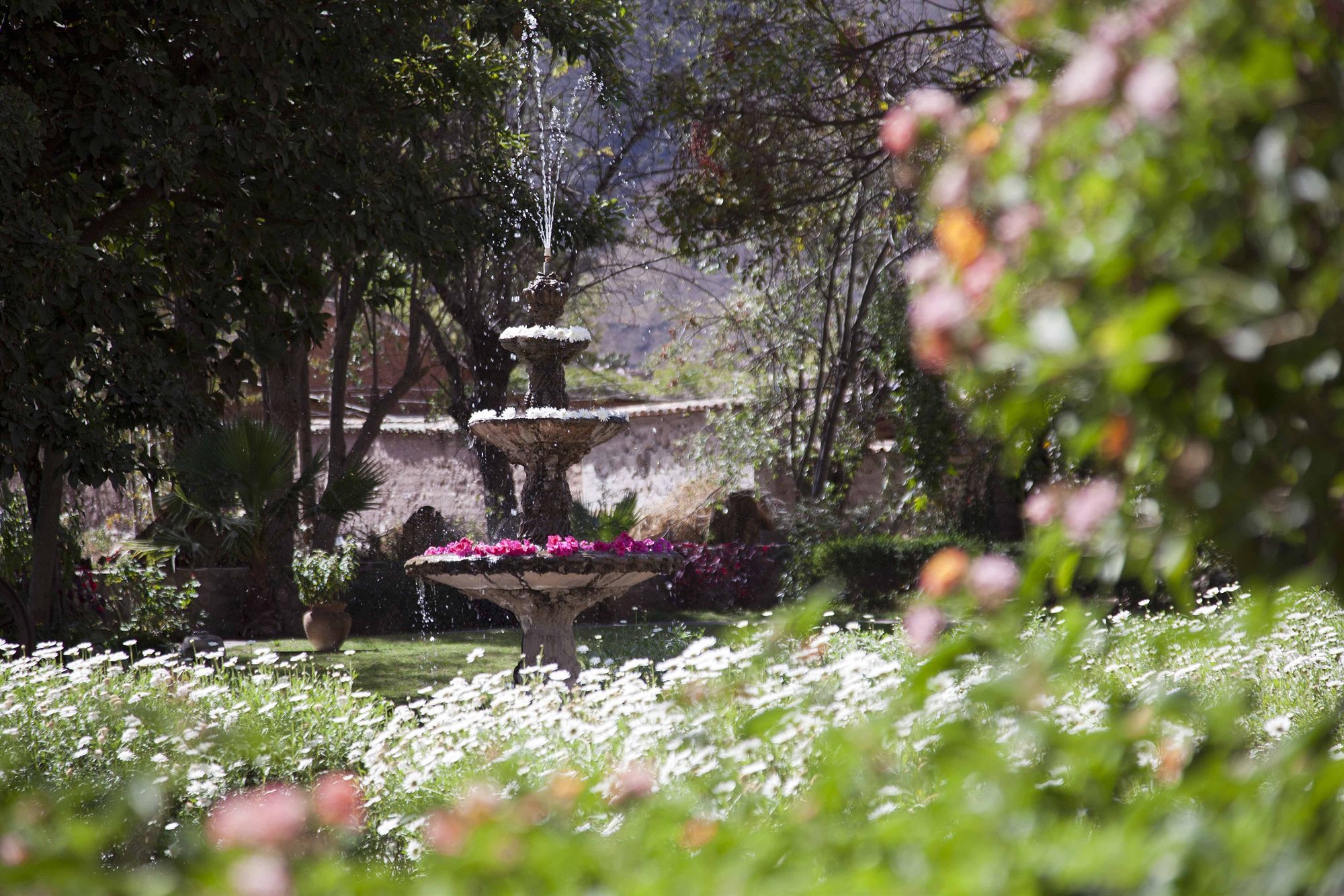 Hotel San Agustin אורובמבה מראה חיצוני תמונה